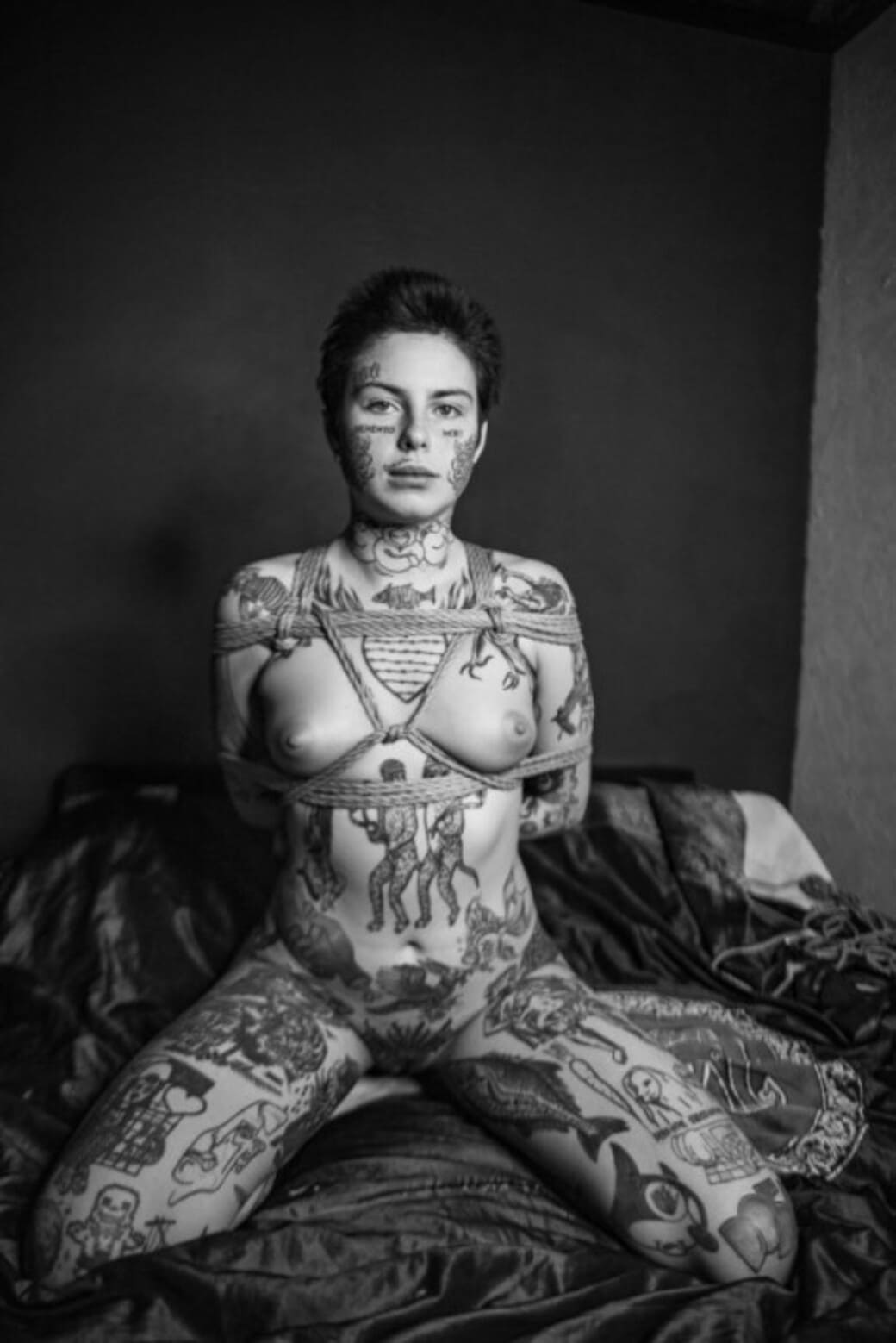 Искушение в ткани Polina Face